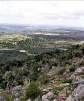 Un seminario que se celebrará mañana en Alcántara debatirá sobre los espacios naturales protegidos