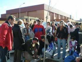 El Ayuntamiento de Casar de Cáceres planta un árbol por cada bebé nacido a lo largo del  año 2007