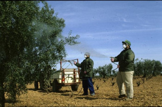 La Universidad Popular de Castuera oferta un curso gratuito de uso de plaguicidas