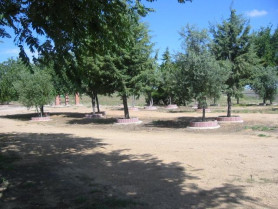 La Junta de Extremadura dotará a Aliseda de un circuito joven en el que invertirá 17.942 euros