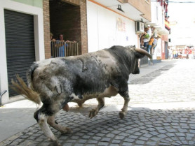 Moraleja convoca el primer concurso de balcones engalanados con motivo de San Buenaventura