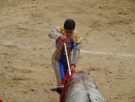 El novillero colombiano, afincado en Moraleja,  Santiago Naranjo reaparece en Francia