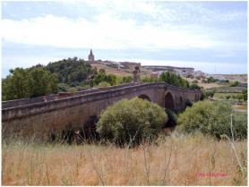 La Consejería de Agricultura acondicionará la Cañada Real de Las Merinas a su paso por Galisteo