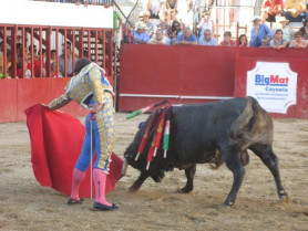 El Ayuntamiento de Moraleja llama a negociar a las dos empresas interesadas en los festejos taurinos