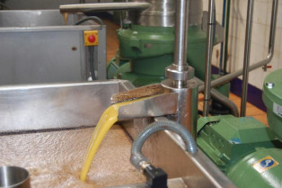 La Cooperativa La Milagrosa de Monterrubio exportará a China y Brasil su aceite con denominación de origen