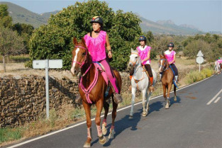 Más de sesenta jinetes participan en el raid celebrado en la campiña de Valencia de Alcántara