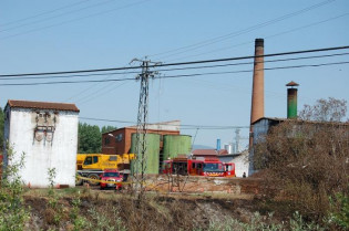 Cotejan los restos localizados en la oleícola de Moraleja con el ADN de familiares de José Miguel Santos