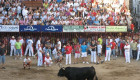 Ya hay cartel oficial para las Fiestas de San Juan 2025 en Coria