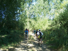 La asociación Andares celebrará la VIII edición de la Ruta del Estío para la observación de aves