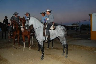 La localidad de Torrejoncillo no celebrará la Feria del Caballo y de la Artesanía este año
