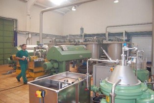 Italia importa el 50% del aceite ecológico con Denominación de Origen de La Milagrosa de Monterrubio