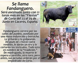 Los antitaurinos piden protección policial para manifestarse en contra de las fiestas de San Juan en Coria