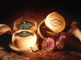El mejor queso del mundo