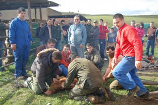 Ritual taurino en la Finca 