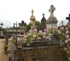 Extremadura ha registrado casi un 50% de muertes más de lo habitual entre el 23 de marzo y el 20 de mayo