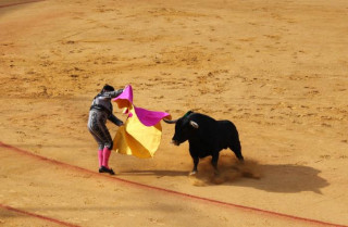 Desde el lunes podrán celebrarse espectáculos taurinos con aforo del 50% y menos de 800 asistentes