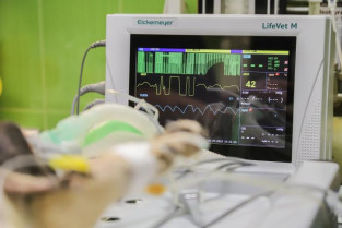 Ancianos muertos en un hospital sin pasar por la UCI pese a haber camas libres: la Junta explica las razones