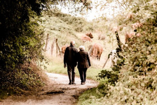 Seis residencias de mayores de Extremadura continúan a esta fecha con algún caso activo de coronavirus