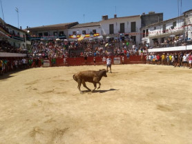 Moraleja pasa su fiesta local del 14 de julio al 7 de septiembre para intentar que haya un puente festivo