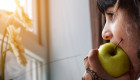 El Gobierno destina más de 6 millones de euros a Extremadura para luchar contra la pobreza infantil