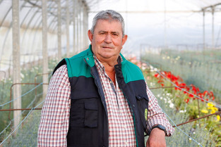 Flores, el símbolo cultural que llegó del campo