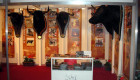 Grupo Ceber Tauro, única empresa licitadora para la Feria Internacional del Toro de Coria