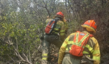 Siete unidades de bomberos forestales trabajan en el incendio de Hornachos