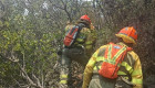 Siete unidades de bomberos forestales trabajan en el incendio de Hornachos