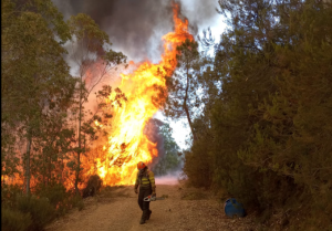 Extremadura declara la época de peligro alto de incendios forestales a partir del 1 de junio