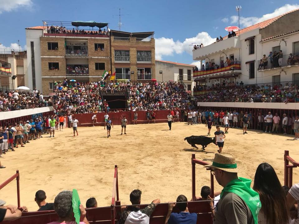 Moraleja celebrará un espectáculo taurino solidario a favor de Aspace