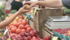 Estos son los alimentos básicos que más se han encarecido en enero