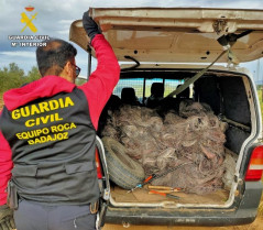 Detenidos tres integrantes de un grupo delictivo por robar 1.500 kilos de cable de cobre