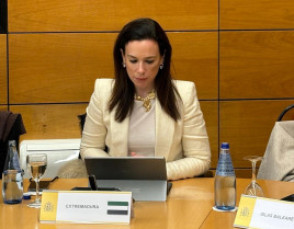 La Junta pide respuestas al Gobierno para abordar la llegada a Extremadura de migrantes menores de edad