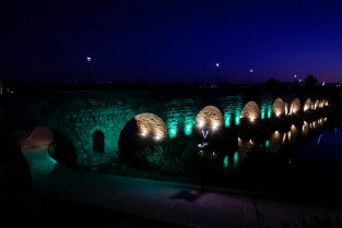El Ayuntamiento de Mérida se iluminará de verde este jueves por el Día de la Enfermedad Celiaca
