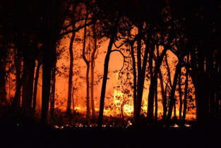 La Junta pide extremar la precaución ante el elevado riesgo de incendios forestales