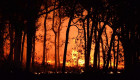 La Junta pide extremar la precaución ante el elevado riesgo de incendios forestales