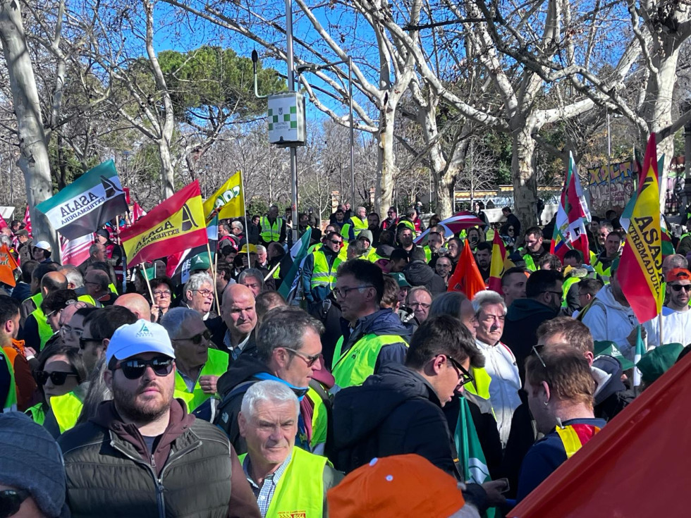 El campo extremeño protestará frente la Asamblea para exigir ayudas por las borrascas y los cereceros