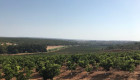 El regadío de Tierra de Barros, proyecto prioritario para la Junta de Extremadura