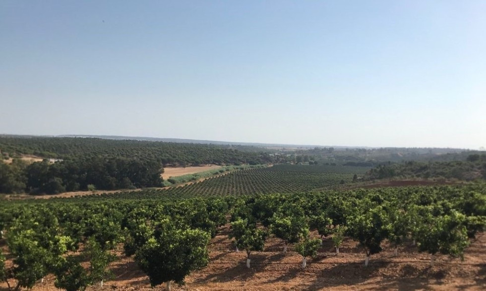 El regadío de Tierra de Barros, proyecto prioritario para la Junta de Extremadura