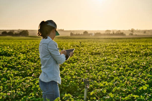 La plataforma Arado se consolida como herramienta clave para el campo extremeño