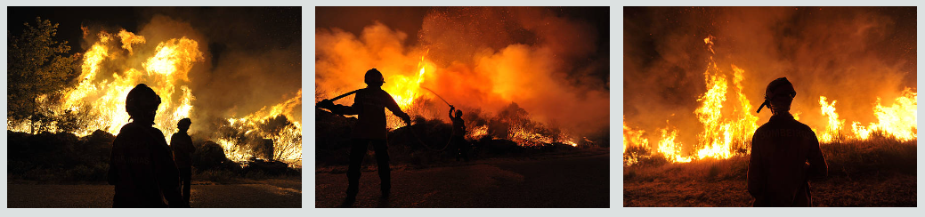 Fuego incendio forestal 2