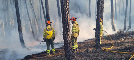 Más de mil efectivos del Infoex harán frente a los incendios forestales este verano