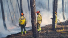 Más de mil efectivos del Infoex harán frente a los incendios forestales este verano