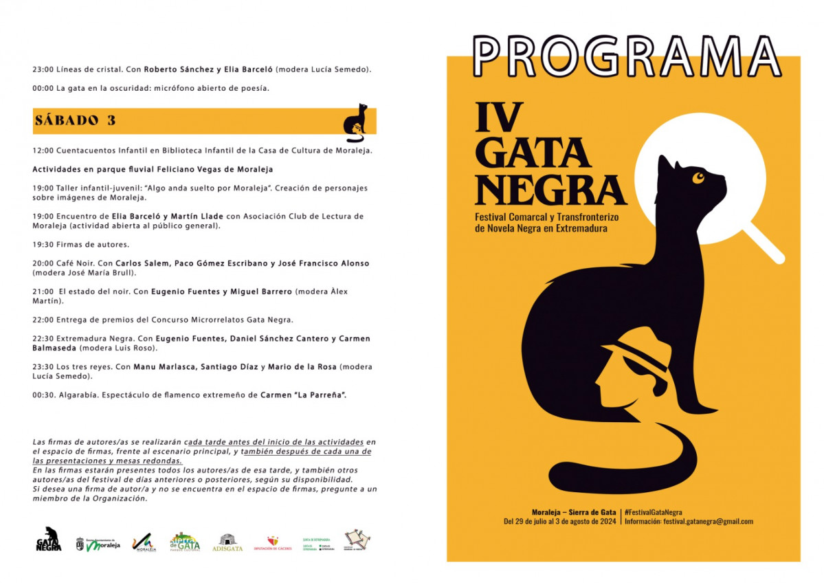 Gata negra 2