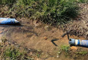 La Unión exige medidas contra el robo en el campo en Extremadura