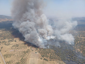Activado el nivel 1 de peligrosidad tras un incendio en Burguillos del Cerro