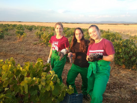 Extremadura publica las primeras ayudas a jóvenes agricultores