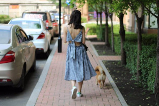 Piden que se obligue a los propietarios de perros a utilizar un pulverizador para limpiar su orina