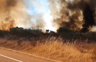 El Plan Infoex actúa en dos incendios forestales en Guijo de Granadilla y Fuente de Cantos