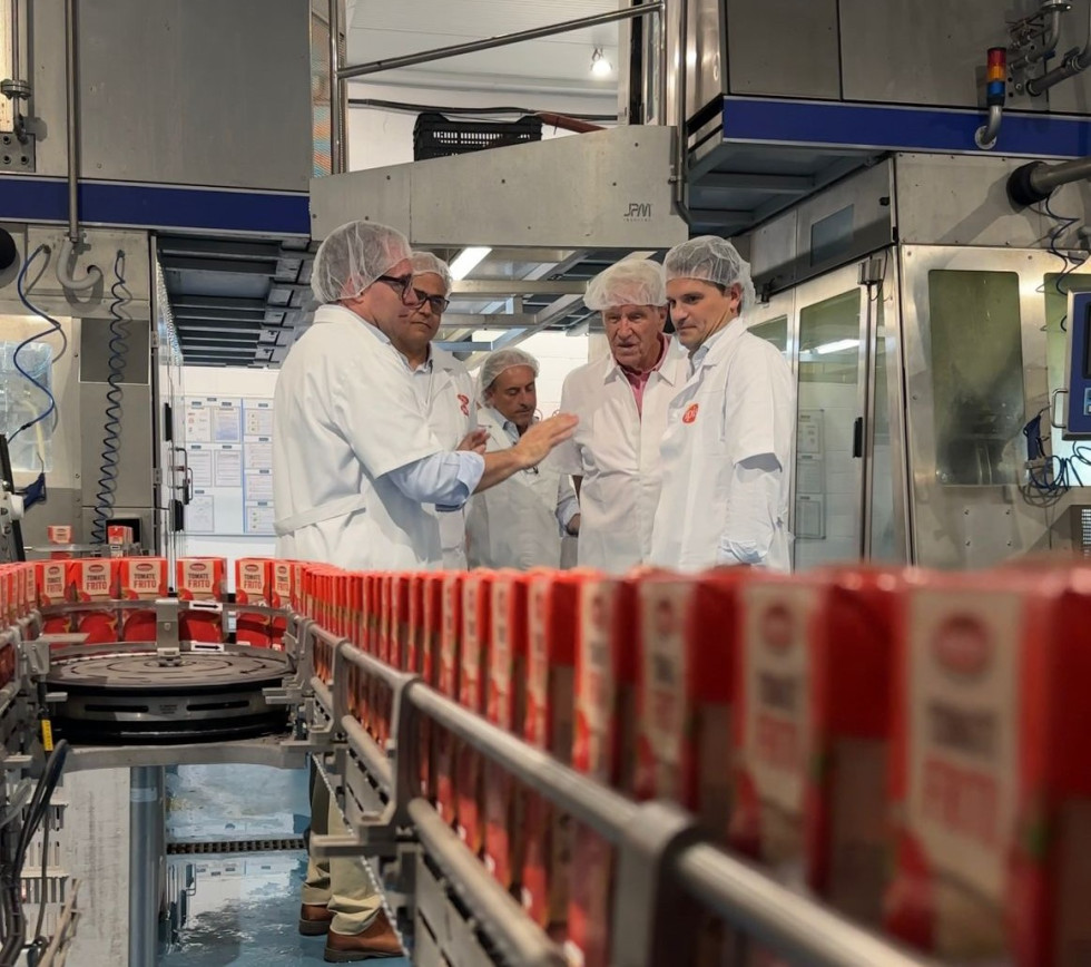 Ayudas de hasta el 65% de la inversión para proyectos empresariales en Sierra de Gata